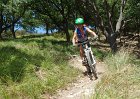 Righi Pinasco 16.07.2017
